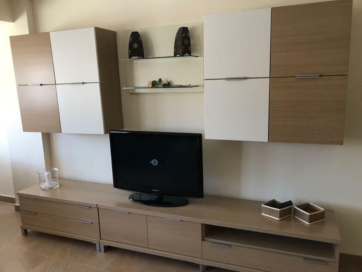 Estudio توري ذيل مار المظهر الخارجي الصورة