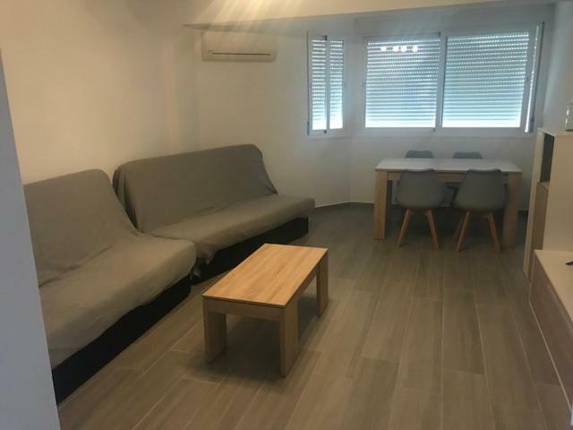Estudio توري ذيل مار المظهر الخارجي الصورة